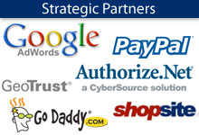 Strategic Partners